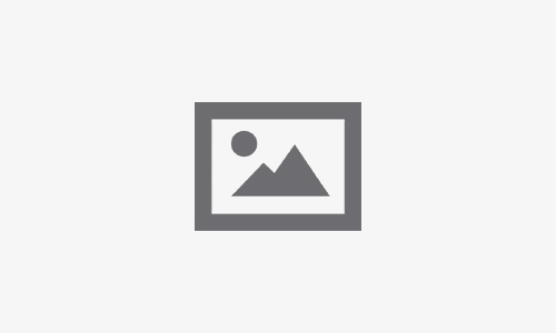Welcome Bonus And Freshly Musician Forwarding reddog • AU Bet Now